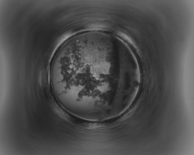 X0000087681275200705041022