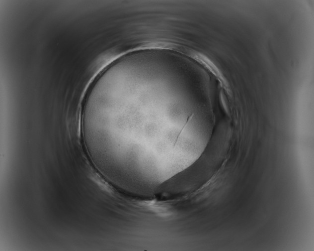 X0000087681276200705041022