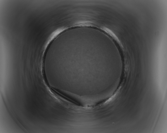 X0000087681277200705041022
