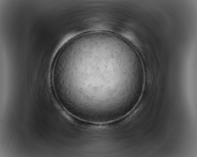 X0000087681278200705041022