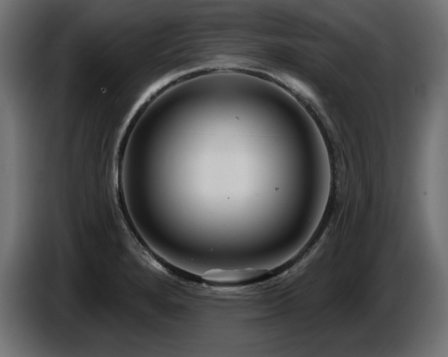 X0000087681280200705041022