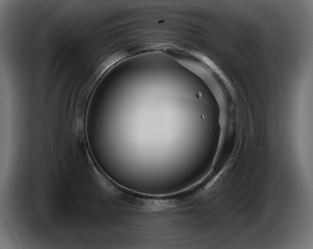 X0000087681281200705041022