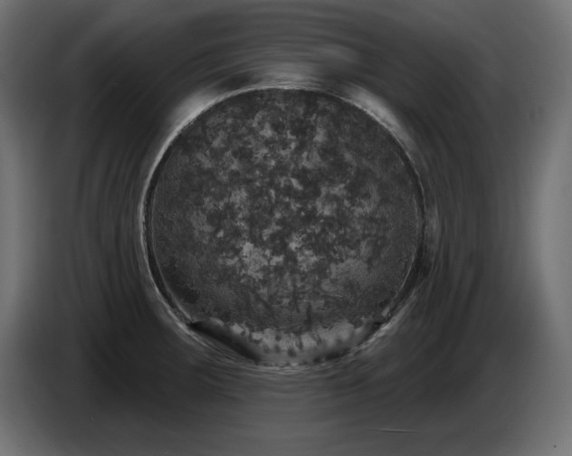 X0000087681283200705041022