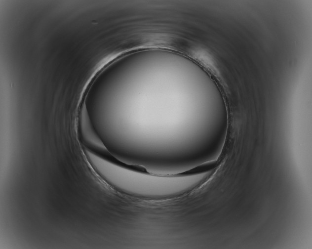 X0000087681284200705041022