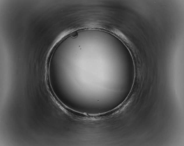X0000087681286200705041022