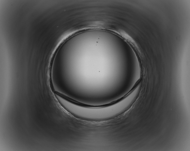 X0000087681288200705041022
