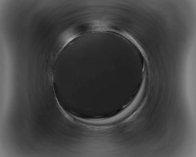 X0000087681289200705041022