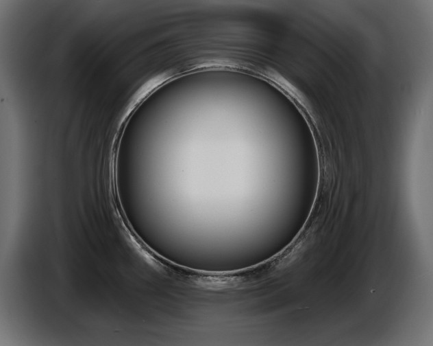 X0000087681290200705041022