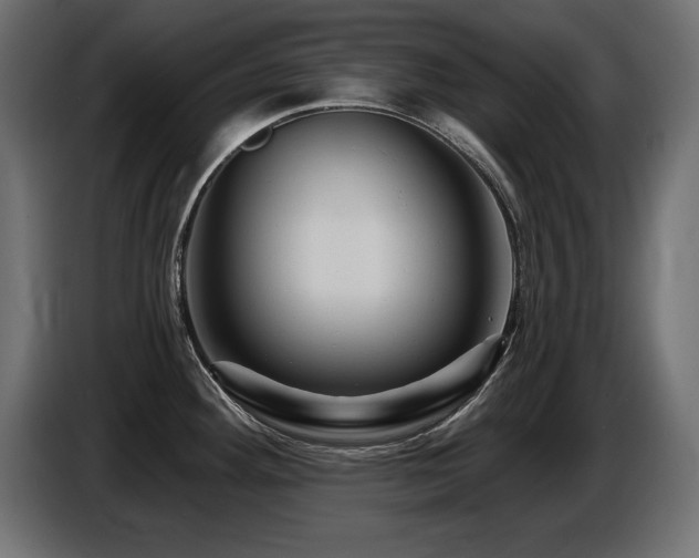 X0000087681292200705041022