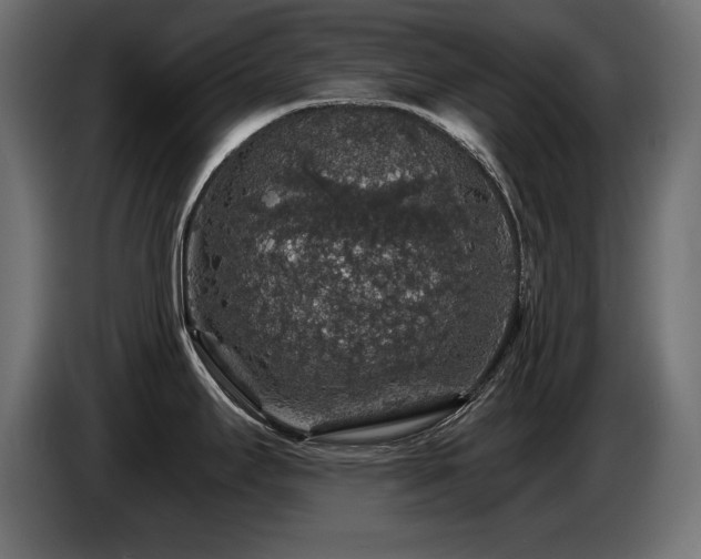 X0000087681295200705041021
