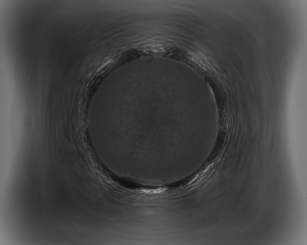 X0000087681297200705041021
