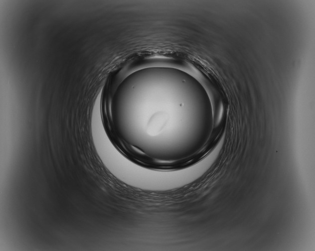 X0000087681298200705041021