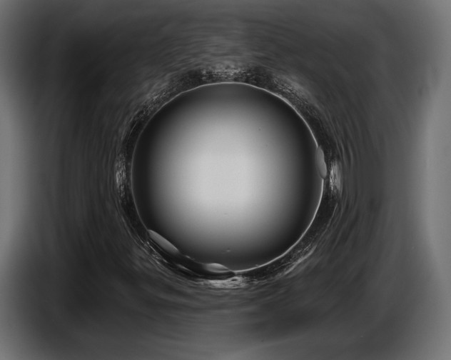 X0000087681299200705041021