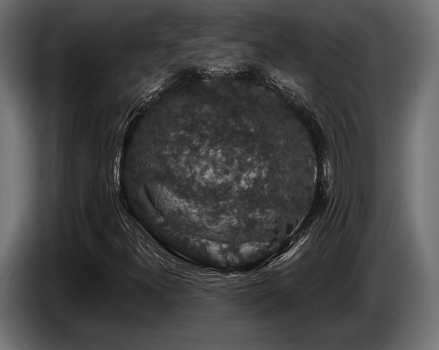 X0000087681300200705041021