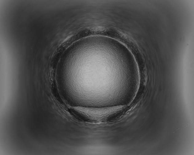 X0000087681301200705041021