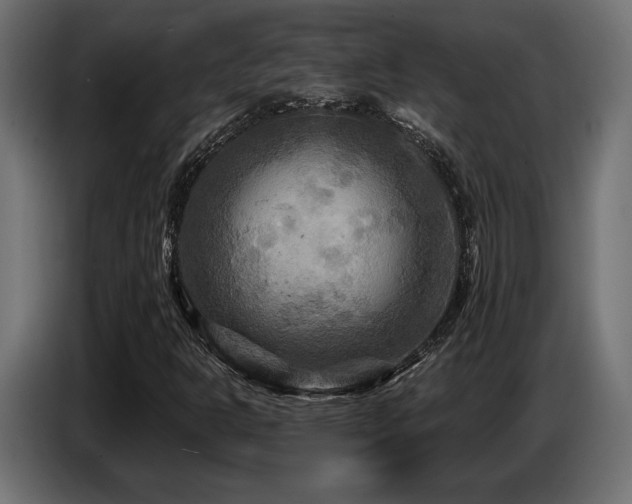 X0000087681302200705041021