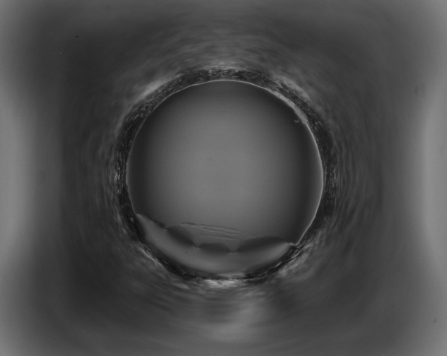 X0000087681303200705041021