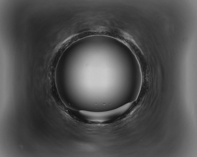 X0000087681304200705041021