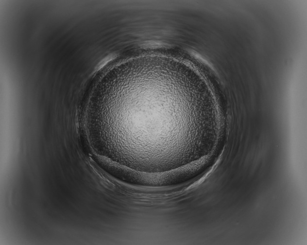 X0000087681305200705041021