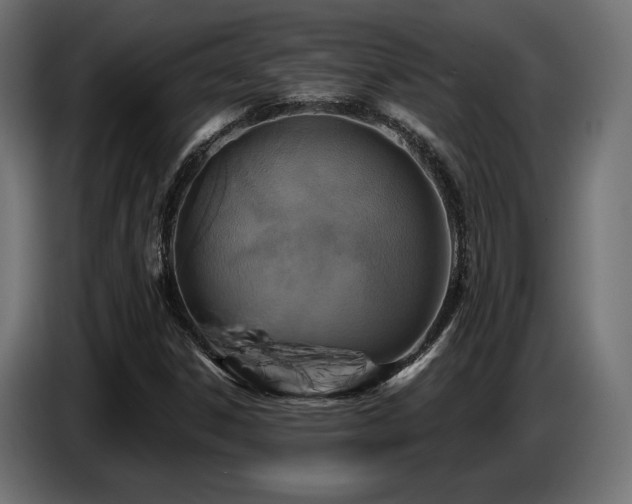 X0000087681306200705041021