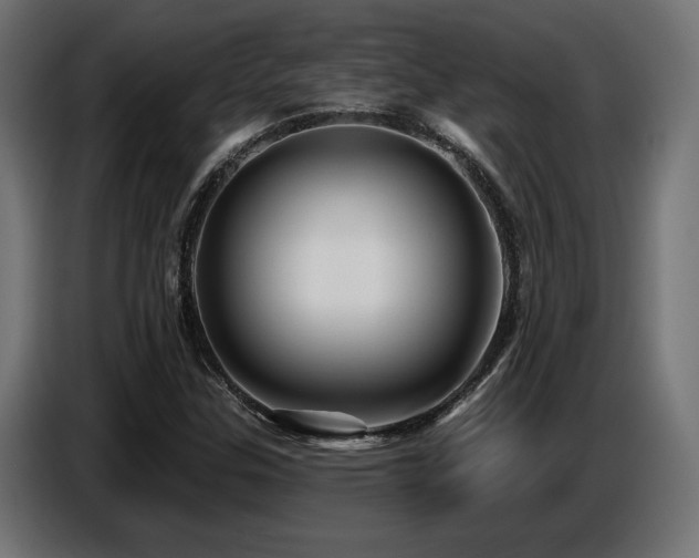 X0000087681307200705041021