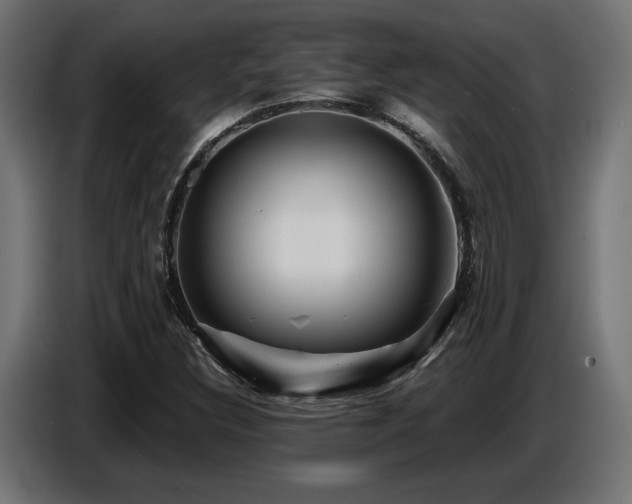 X0000087681308200705041021