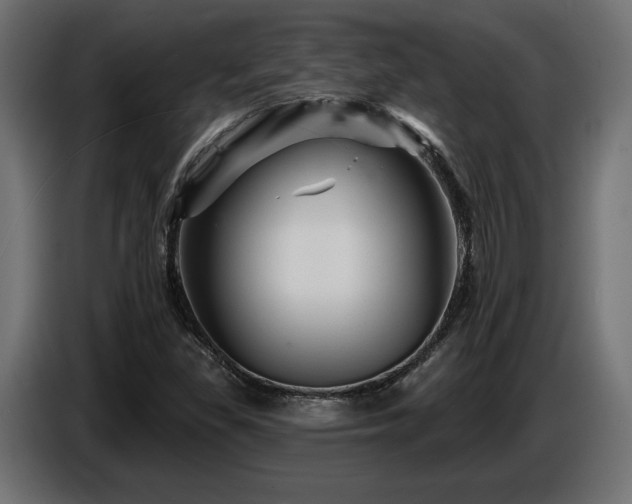X0000087681309200705041021