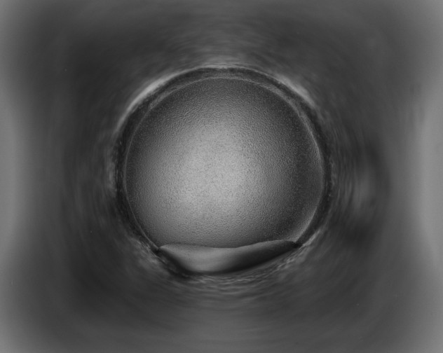 X0000087681311200705041021