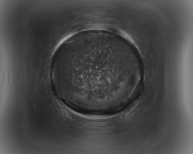 X0000087681312200705041021