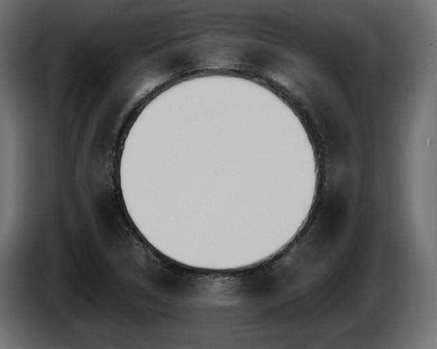 X0000087681314200705041021