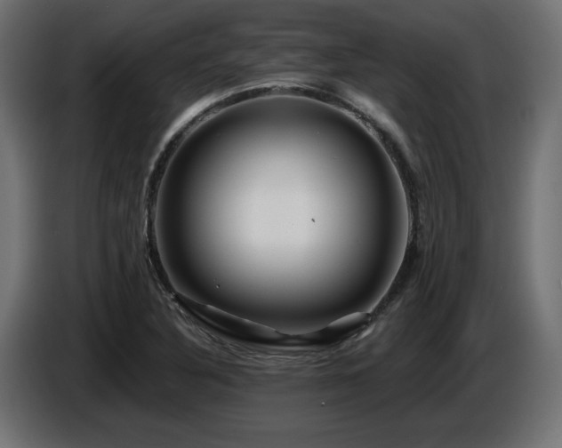 X0000087681316200705041021