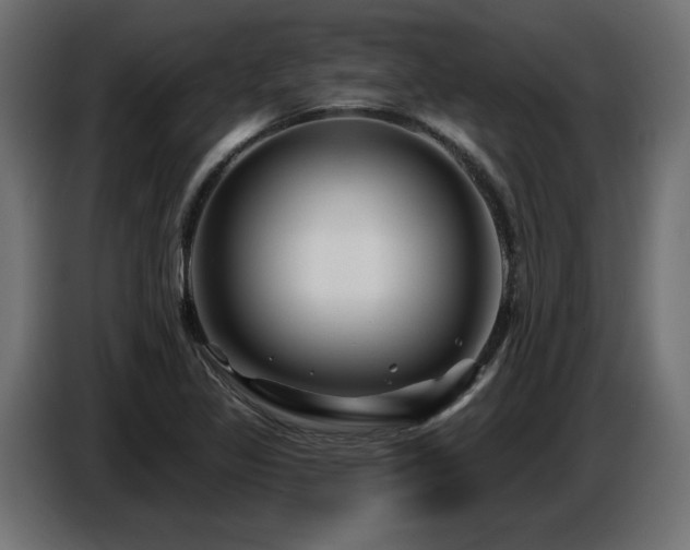 X0000087681317200705041021