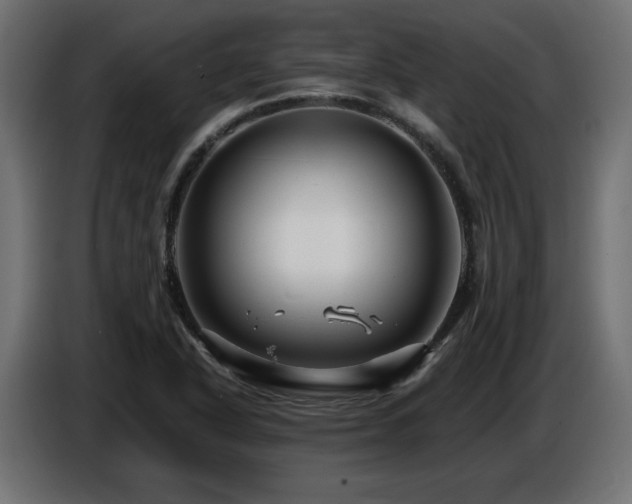 X0000087681318200705041021