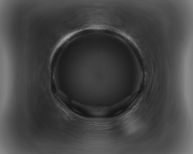 X0000087681319200705041021