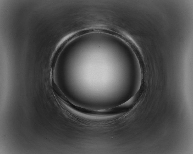 X0000087681320200705041021