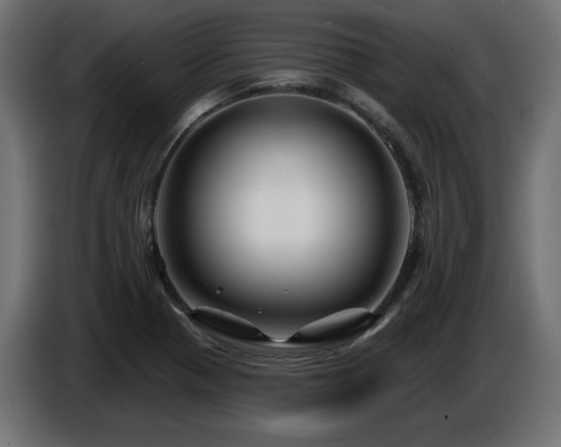 X0000087681321200705041021