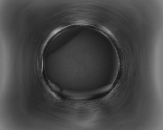 X0000087681323200705041021