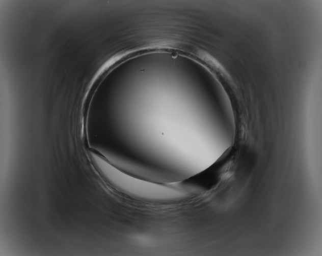 X0000087681324200705041021