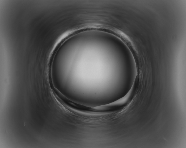 X0000087681326200705041021