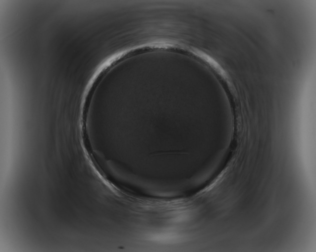 X0000087681327200705041021