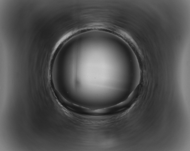 X0000087681328200705041021