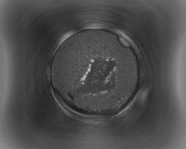 X0000087681329200705041021