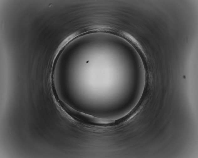 X0000087681330200705041021