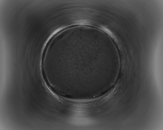 X0000087681331200705041021