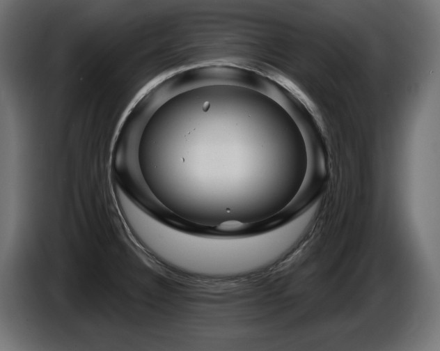 X0000087681332200705041021