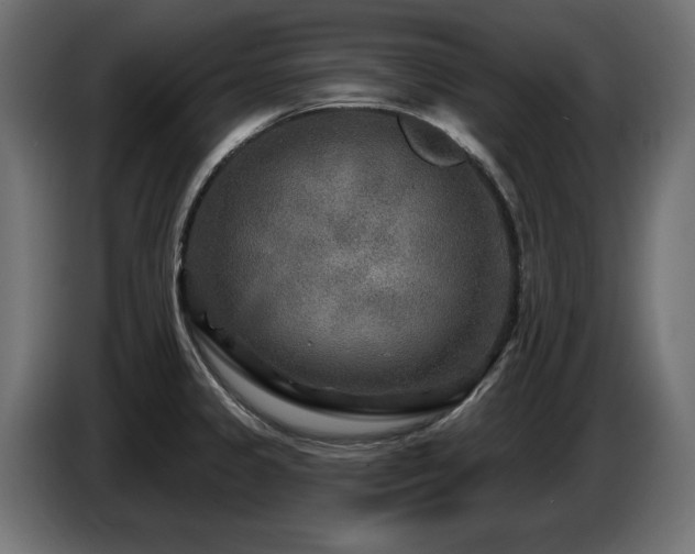 X0000087681333200705041021
