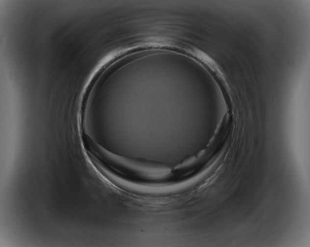 X0000087681334200705041021