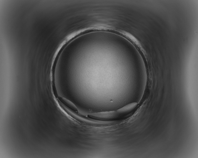 X0000087681335200705041021