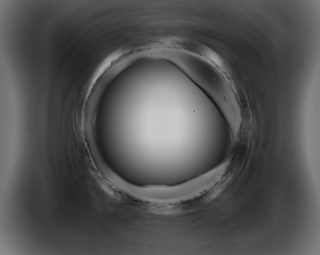 X0000087681336200705041021