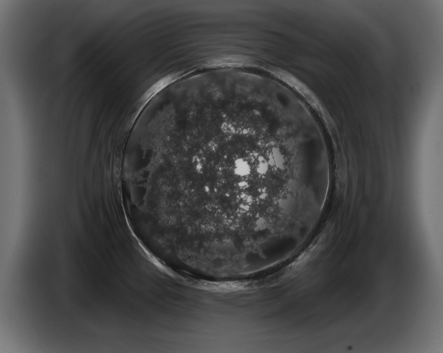 X0000087681337200705041021